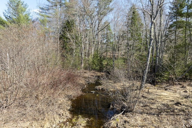 LOT13A Ridley Ln, Litchfield, ME 04350 - photo 23