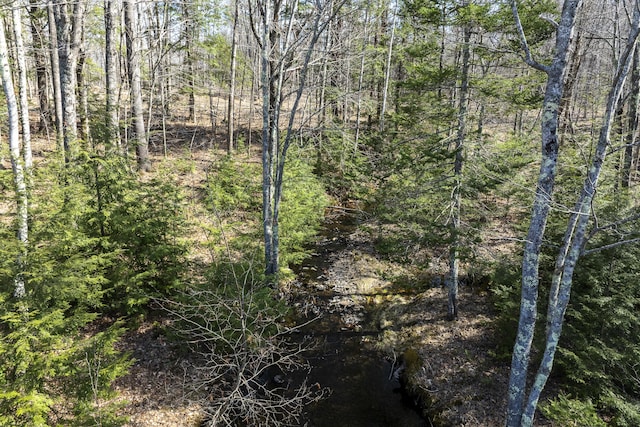 LOT13A Ridley Ln, Litchfield, ME 04350 - photo 24