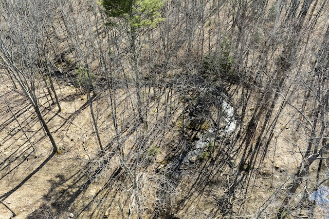 LOT13A Ridley Ln, Litchfield, ME 04350 - photo 25