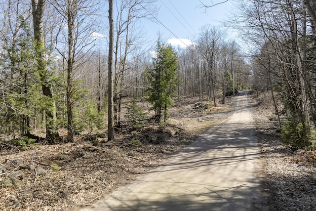 LOT13A Ridley Ln, Litchfield, ME 04350 - photo 26