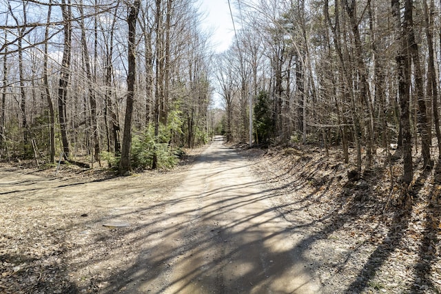 LOT13A Ridley Ln, Litchfield, ME 04350 - photo 32