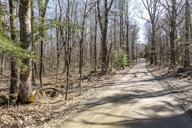 LOT13A Ridley Ln, Litchfield, ME 04350 - photo 33