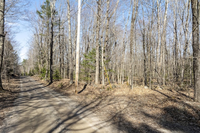 LOT13A Ridley Ln, Litchfield, ME 04350 - photo 34