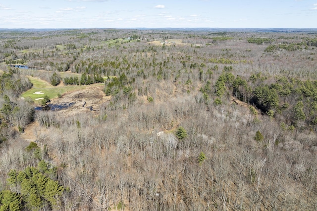 LOT13A Ridley Ln, Litchfield, ME 04350 - photo 4