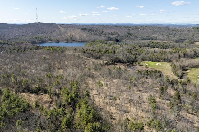 LOT13A Ridley Ln, Litchfield, ME 04350 - photo 6
