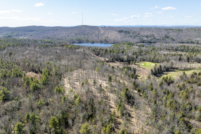 LOT13A Ridley Ln, Litchfield, ME 04350 - photo 8
