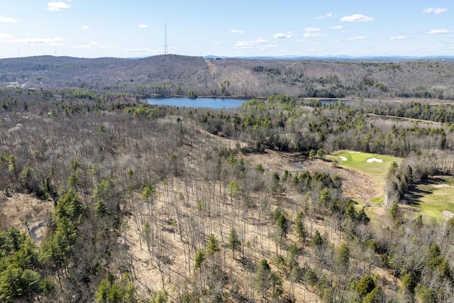 LOT13A Ridley Ln, Litchfield, ME 04350 - photo 9