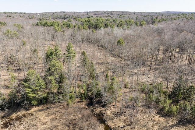 LOT13A Ridley Ln, Litchfield, ME 04350 - photo 13
