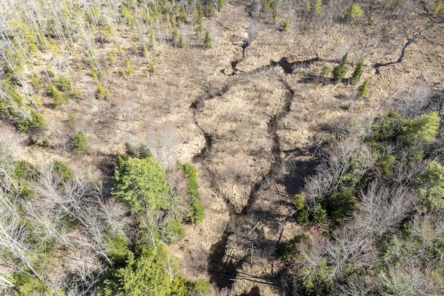 LOT13A Ridley Ln, Litchfield, ME 04350 - photo 15