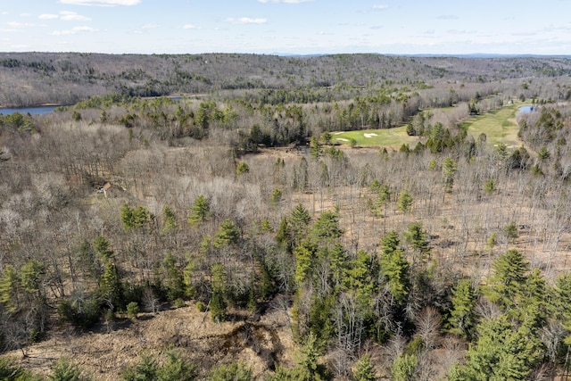 LOT13A Ridley Ln, Litchfield, ME 04350 - photo 16