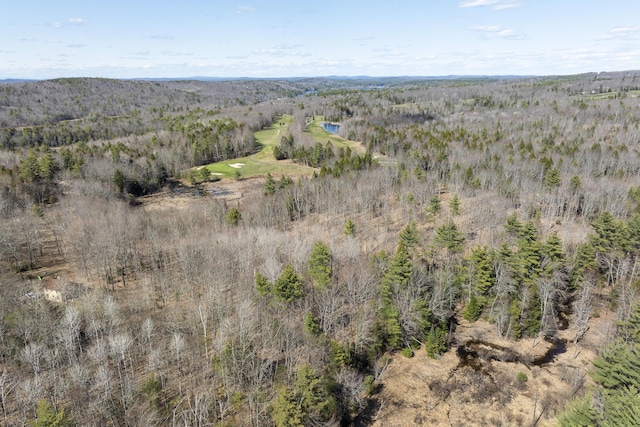 LOT13A Ridley Ln, Litchfield, ME 04350 - photo 17