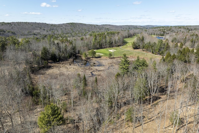 LOT13A Ridley Ln, Litchfield, ME 04350 - photo 18