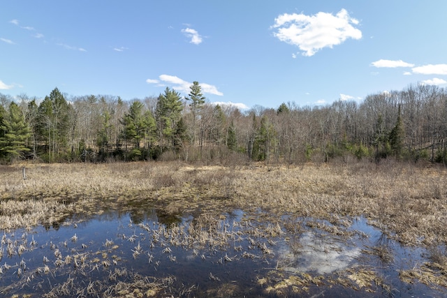 LOT13A Ridley Ln, Litchfield, ME 04350 - photo 21