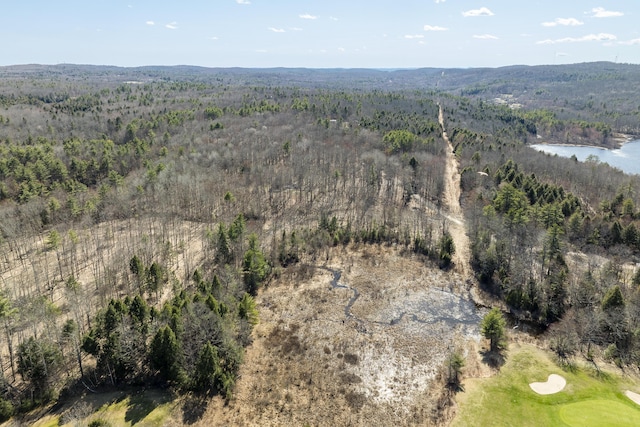 LOT13A Ridley Ln, Litchfield, ME 04350 - photo 10