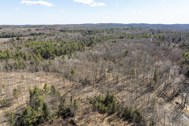 LOT13A Ridley Ln, Litchfield, ME 04350 - photo 11