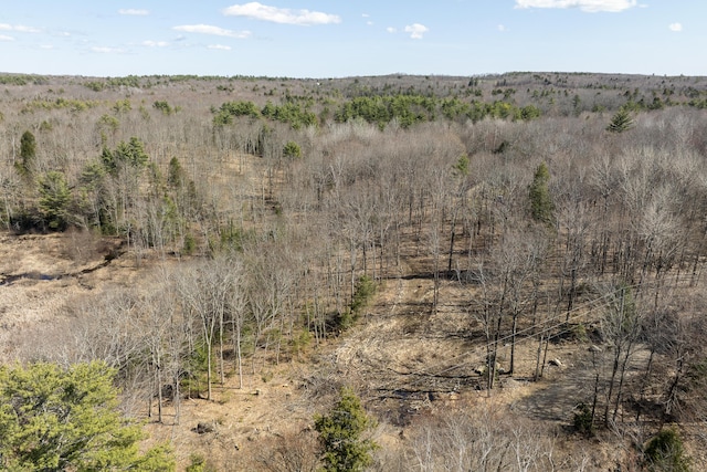 LOT13A Ridley Ln, Litchfield, ME 04350 - photo 12