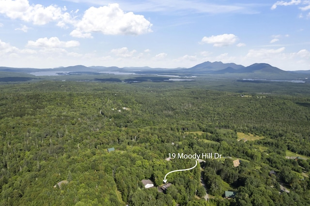 mountain view featuring a wooded view