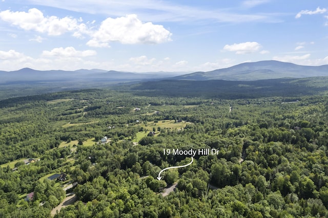 birds eye view of property featuring a mountain view and a view of trees