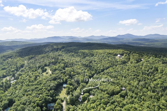 aerial view with a mountain view and a wooded view