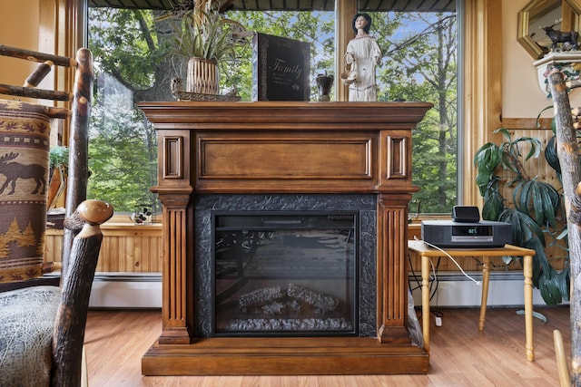 details featuring a high end fireplace, baseboard heating, and wood finished floors