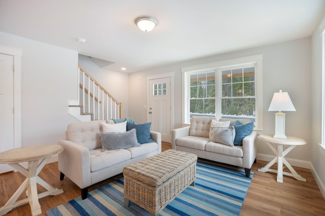 living room featuring wood-type flooring