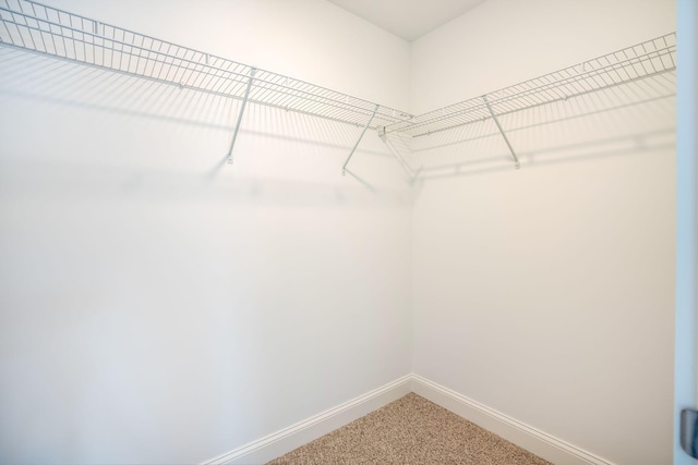 walk in closet with carpet