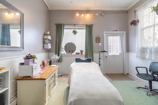 carpeted bedroom featuring multiple windows