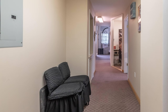 hallway with carpet and electric panel