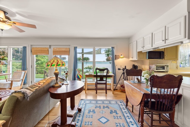 interior space featuring a water view, white cabinetry, a baseboard radiator, and light hardwood / wood-style flooring