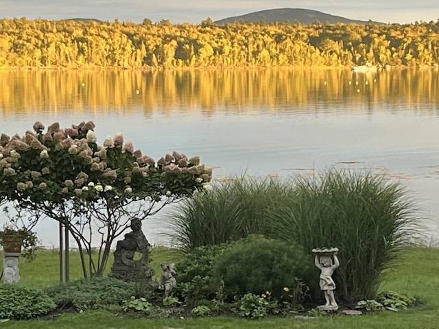 property view of water with a mountain view