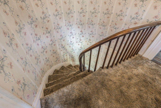 staircase with carpet