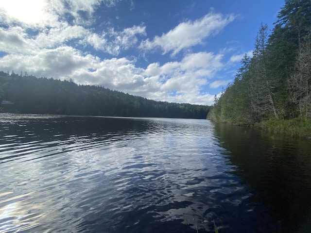 LOT14 Rowe Pond Rd, Pleasant Ridge Plt, ME 04920 - water view with a heavily wooded area