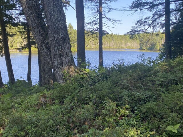 LOT14 Rowe Pond Rd, Pleasant Ridge Plt, ME 04920 - water view featuring a forest