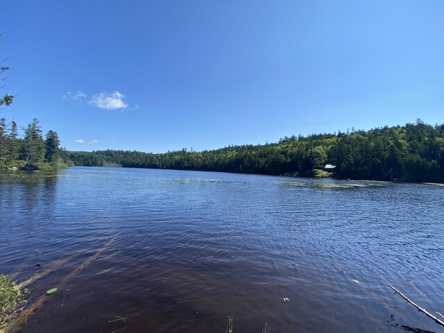 LOT14 Rowe Pond Rd, Pleasant Ridge Plt, ME 04920 - water view featuring a heavily wooded area