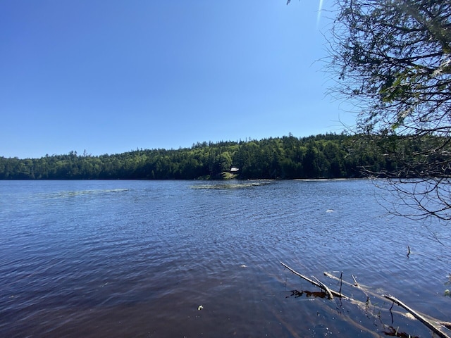 LOT14 Rowe Pond Rd, Pleasant Ridge Plt, ME 04920 - water view featuring a heavily wooded area