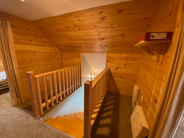 bonus room with wooden walls and carpet flooring