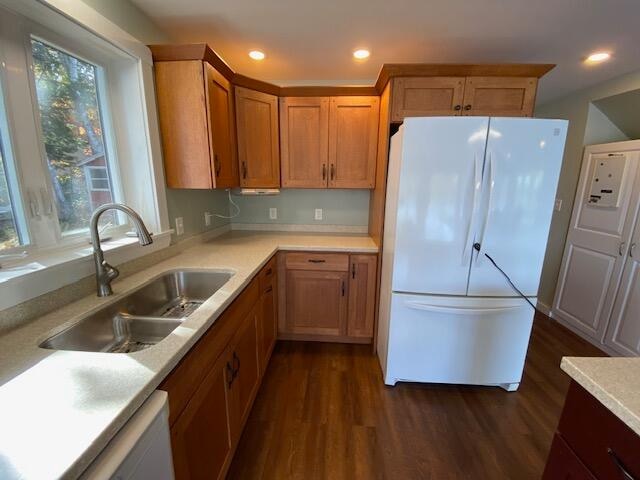 kitchen featuring sink, dark wood-type flooring, and white appliances