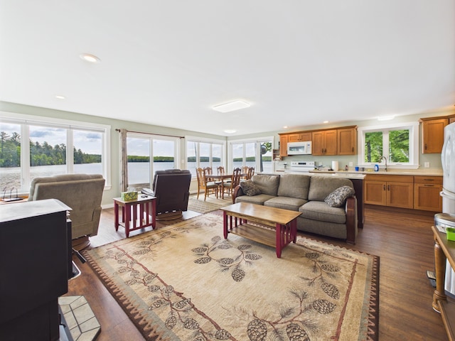 827 Little Madawaska Lake Rd, Westmanland, ME 04783 - living area with wood finished floors, healthy amount of natural light, recessed lighting, and a water view