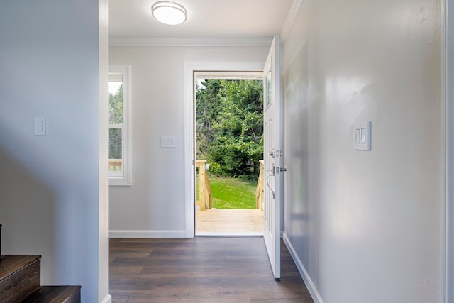 doorway with crown molding and dark wood-type flooring