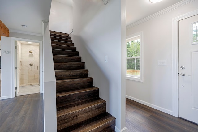 stairs featuring wood-type flooring, a wealth of natural light, and ornamental molding