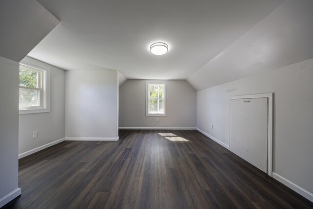 additional living space featuring lofted ceiling, dark hardwood / wood-style flooring, and a healthy amount of sunlight