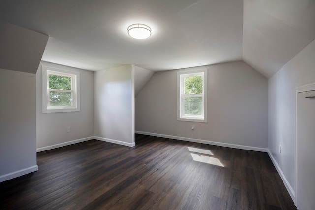 additional living space with wood-type flooring, vaulted ceiling, and a healthy amount of sunlight