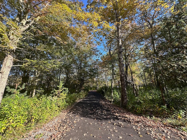 view of street featuring a wooded view