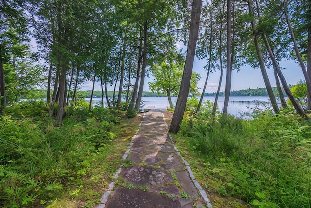 property view of water