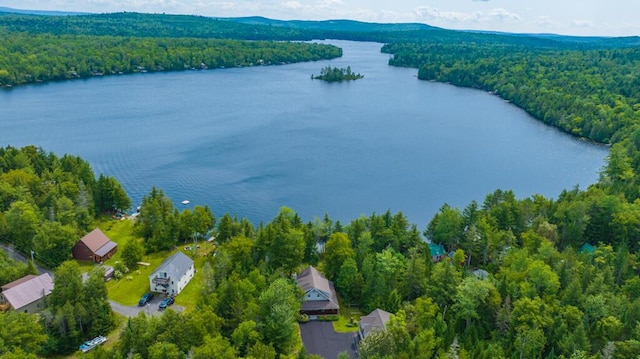 aerial view featuring a water view and a wooded view