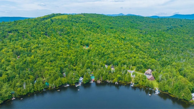 drone / aerial view featuring a forest view and a water and mountain view