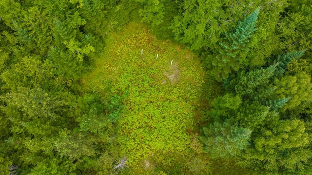 bird's eye view with a view of trees