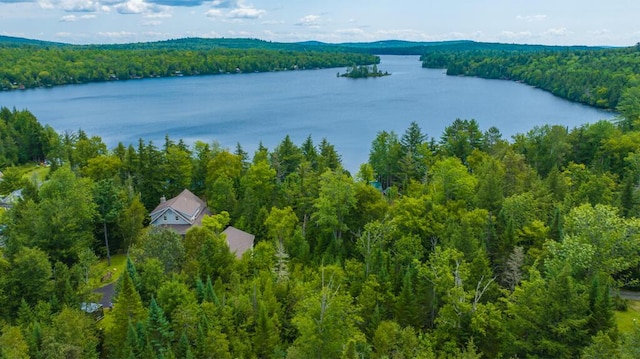 aerial view featuring a forest view and a water view