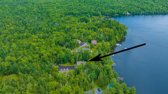 bird's eye view featuring a water view and a wooded view