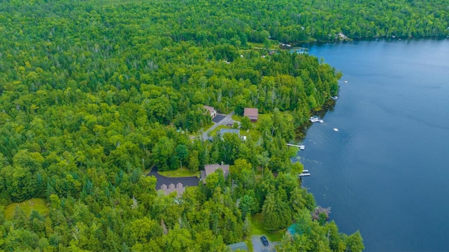 birds eye view of property featuring a water view and a forest view